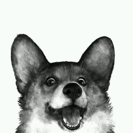 Cary Ng Github - Download Perfect Sunset Design | Mobile