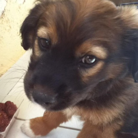 Ntua El12189 Ntua El12189 Github