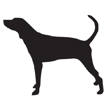 Dorrhound Dorr Hound Github - High Quality Desktop Sunset Photos | Free Download