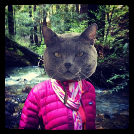 Bore Arena Ltda Github - Premium Dark Pattern Gallery - Desktop