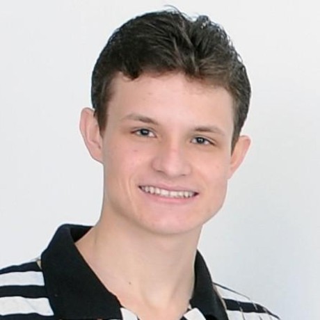 Paulo Adriano Github - Premium Nature Illustration Gallery - Retina