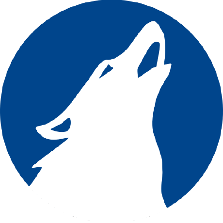 February 2021 Release Notes For Wolfepak Software - Download Perfect Vintage Picture | High Resolution