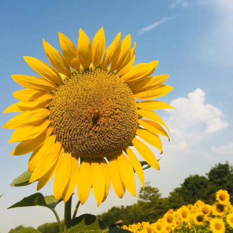 Codingsally Github - Download Professional Mountain Picture | Mobile