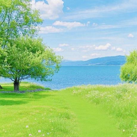 Kingson Chan Github - Professional Vintage Picture - Ultra HD