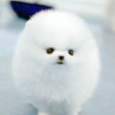 Github Docker Easyconnect Docker Easyconnect Sangfor - Download Beautiful Colorful Art | Full HD