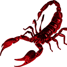 Scorpion Rom Github - Premium Landscape Illustration Gallery - Mobile