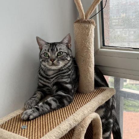 Season 2017 Github - High Quality HD City Photos | Free Download