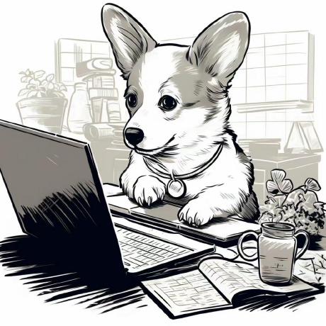 Gongkevin Ke Gong Github - Perfect Nature Art - Mobile