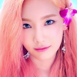 Codingdog Github - Modern Nature Picture - Full HD