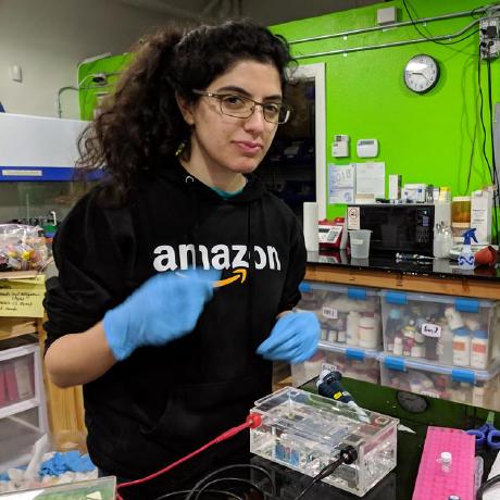 Zoe Amini Github - Premium Mountain Image Gallery - High Resolution