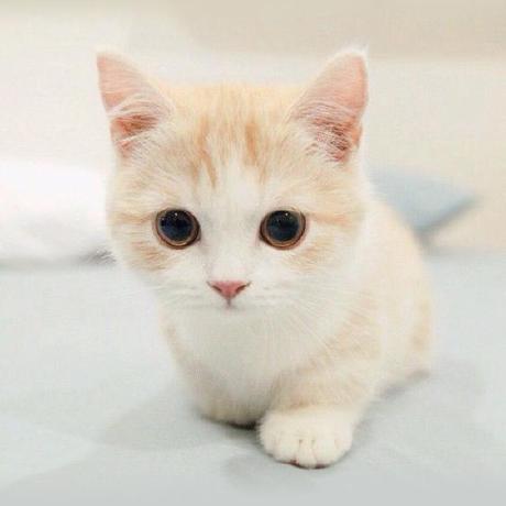 Github Shiyuan17 Sytableview - Full HD Geometric Images for Desktop