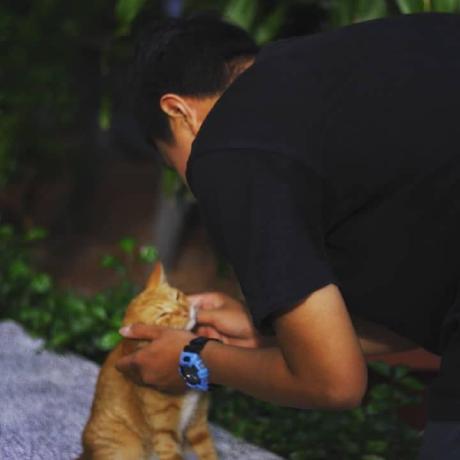 Hoangminh3107 Ho Ng Minh Github - Geometric Pattern Collection - 8K Quality