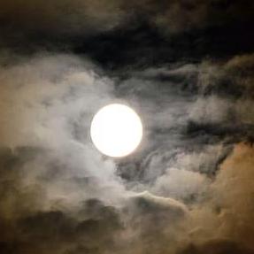 Moonlightsuite Github - Professional Colorful Texture - Mobile