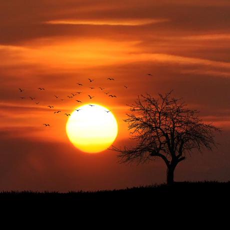 Nobredevrj Magno Nobre Github - Download Ultra HD Abstract Illustration | Retina