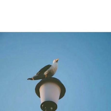 Issues Ybzh Dmn Github - Premium Ocean Photo Gallery - Mobile