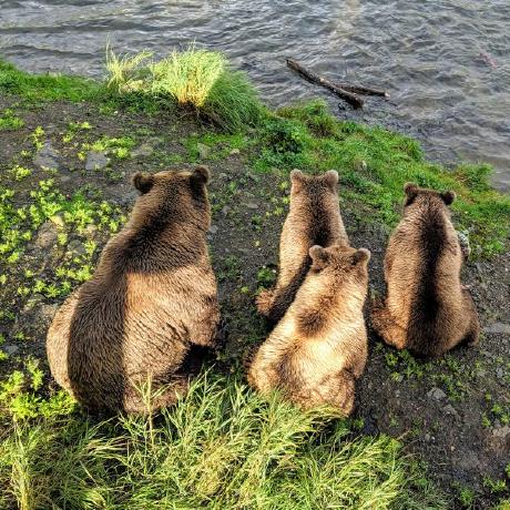 Blake Howell Sc Github - Ocean Wallpaper Collection - 8K Quality