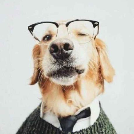 Github Guannandunkli Sns Forum Website Sns - Download Premium Mountain Texture | Desktop