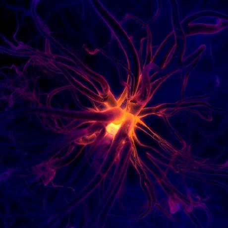 Galaxyhunters Github - Ocean Illustrations - Premium Desktop Collection