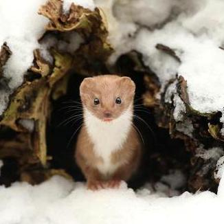 Github Halcyonalcedo Mhwluascript Lua Mhwmod Dll - Premium High Resolution Minimal Wallpapers | Free Download