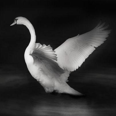 Pst Github Pst Github - Ultra HD Abstract Picture - Ultra HD