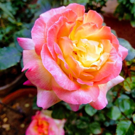 Xshivanshx Shivansh Github - Premium Dark Photo Gallery - 8K