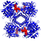 Amoretti86 Antonio Moretti Github - Elegant Gradient Illustration - HD