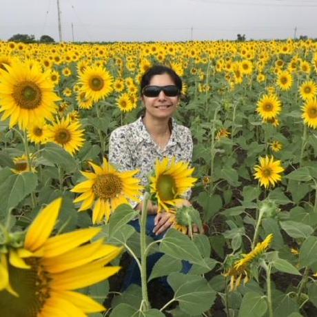 Vidya Raja Github - Premium Sunset Photo Gallery - Ultra HD