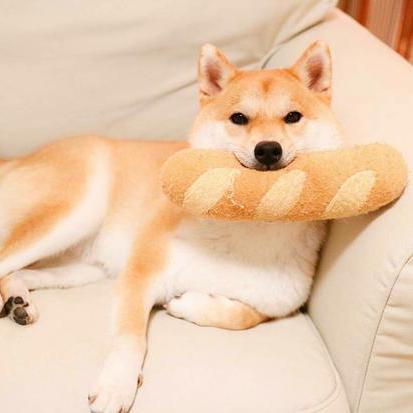 Tarveynatt Tan Enhao Github - Perfect Light Image - High Resolution