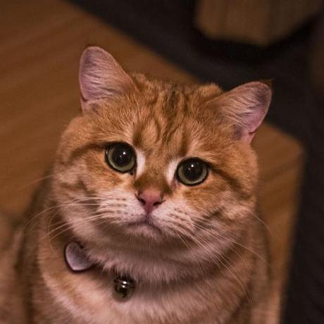 Mikhailferapontow Mikhail Ferapontov Github - Geometric Pictures - Premium 4K Collection