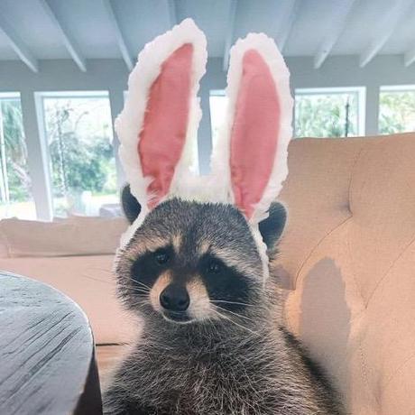 Damyd Damy Github - Download Stunning Landscape Background | Ultra HD