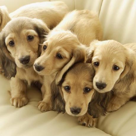 Dwight App Github - Geometric Photos - Creative Mobile Collection