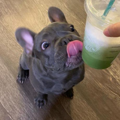 Github Zhenyaonu Mathematical Analysis Mathematical Analysis - 8K Ocean Images for Desktop