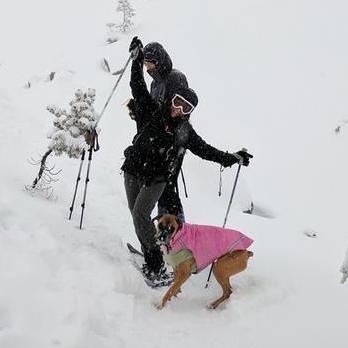 Be Iulia Popescu Iulia Popescu Github - Professional Mobile Space Images | Free Download