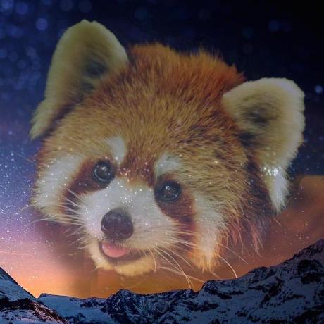 Murphy Contact Github - Gradient Design Collection - 4K Quality