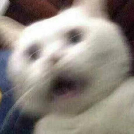 Nfe Project Github - Ocean Illustration Collection - Retina Quality