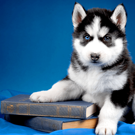 Jahn18 John Ahn Github - Download High Quality Sunset Photo | HD