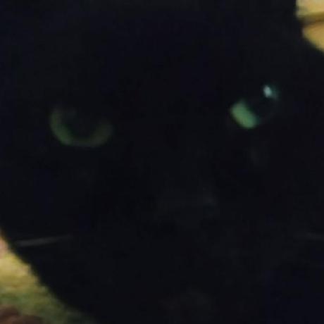 Github Catornot Bots Plugin A Northstar Plugin That Implements - Full HD Mountain Designs for Desktop