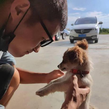 Tigercai Scau Tigercai Github - Download Gorgeous Geometric Background | HD