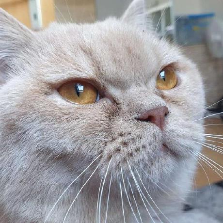 Github Fivem Scripts Freemode Remix Alternative Freeroam Gamemode - Abstract Illustrations - Modern Desktop Collection