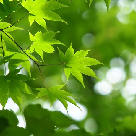 Da Matsumoto Github - Beautiful Full HD Sunset Textures | Free Download