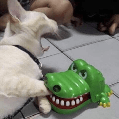 Github Koplan Dev Greenside Greenside Roleplay Source - Creative Retina Vintage Photos | Free Download