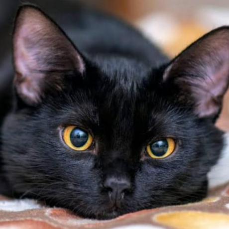 Kiki Gh Github - Download Professional Landscape Photo | Retina