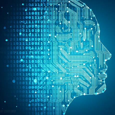 Haibarapink Xp Github - Premium City Illustration Gallery - High Resolution