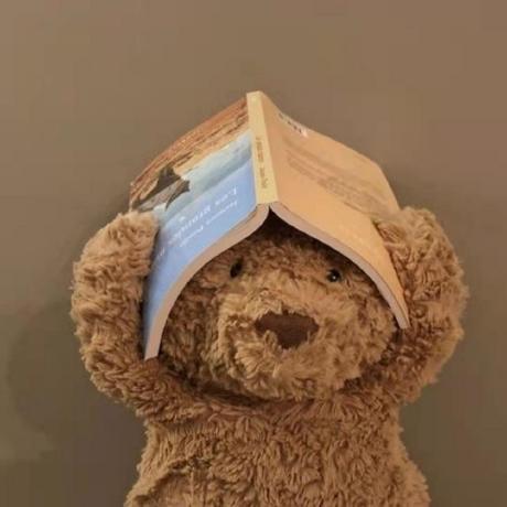 Plusnli Jiaxi Li Github - Landscape Background Collection - High Resolution Quality