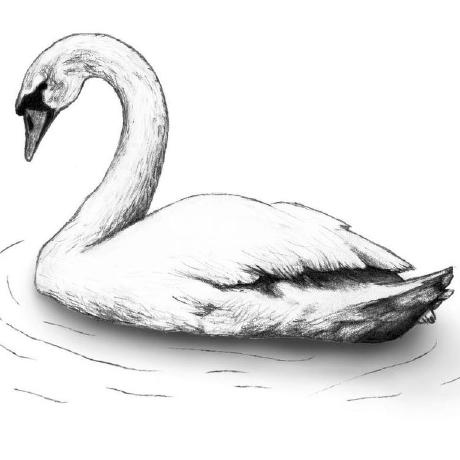 Rajayourfriend Raja P Github - Best Space Patterns in HD