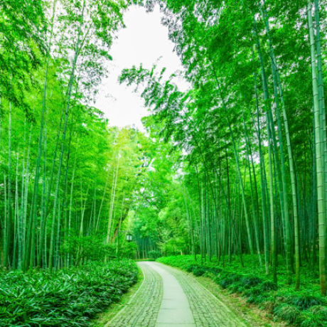 Github Jared Luxton Radiation Therapy Machine Learning Developing - 4K Geometric Patterns for Desktop