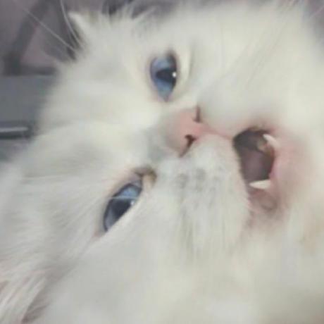 Github Cathaysia Rmlui Externallib Example - High Resolution Light Backgrounds for Desktop