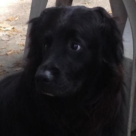 Webdevkeenan Keenan Github - Download High Quality Light Image | HD