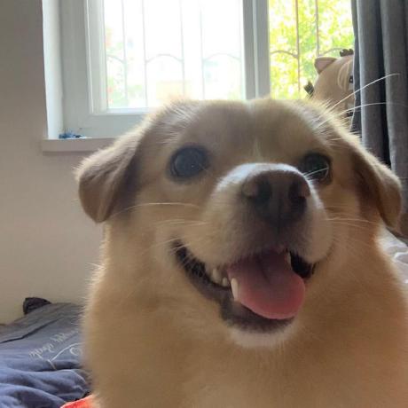 Github Potats0 Shiropoc - Perfect Ultra HD Mountain Images | Free Download