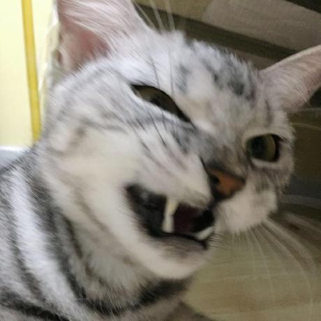 Canaan Io Github - Premium Space Photo Gallery - 4K